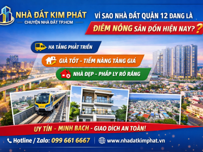 Vì Sao Nhà Đất Quận 12 Đang Là Điểm Nóng Được Săn Đón Hiện Nay?