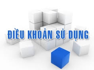 ĐIỀU KHOẢN SỬ DỤNG WEBSITE