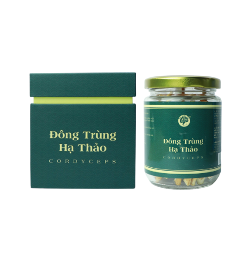 Nấm Đông Trùng Hạ Thảo