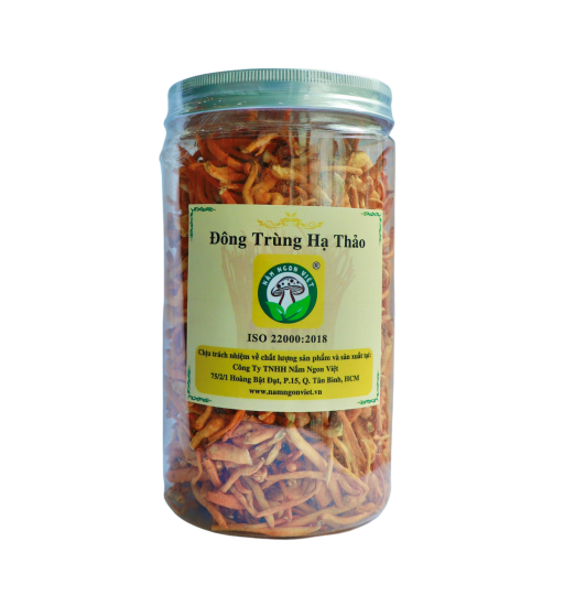 Nấm Đông Trùng Hạ Thảo